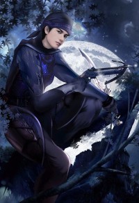 大明锦医